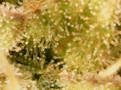 190518_212517_cleaned.jpg