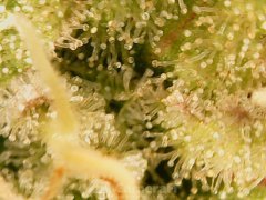 190518_212518_cleaned.jpg