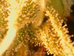 190518_213011_cleaned.jpg