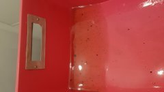 20190501_224523.jpg