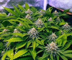 20190503_165839.jpg