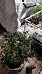20190505_165645.jpg