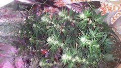 20190505_204256.jpg