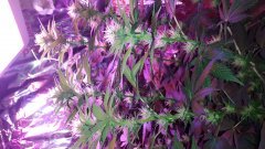 20190510_205354.jpg