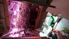 20190510_205712