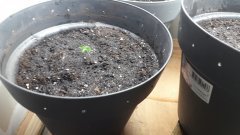 20190512_122532.jpg