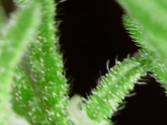20190513_205545.jpg