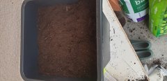 20190517_084524.jpg