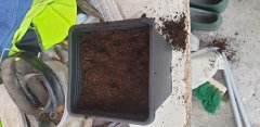20190517_084530.jpg