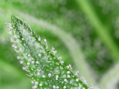 20190519_224926.jpg