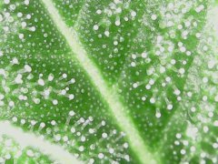20190519_225026.jpg
