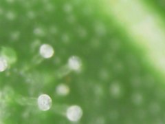 20190519_225047.jpg