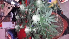 20190519_225429