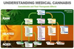 cannabinoides-médecine.jpg