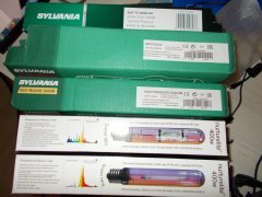 DSCN0300.JPG