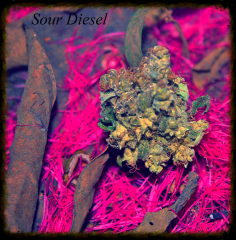 Sour diesel