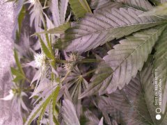 IMG_20190518_210313