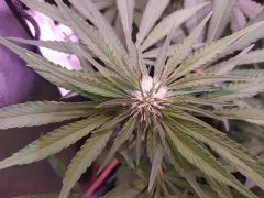 IMG_20190525_004057.jpg