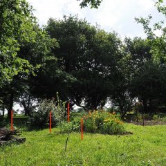 IMG_4071.jpg