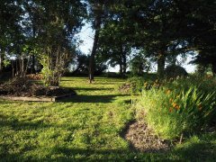 IMG_4076.jpg