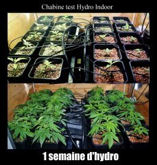 Chabine test indoor hydro