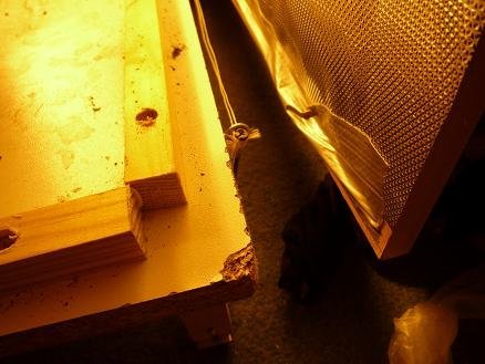 045.jpg