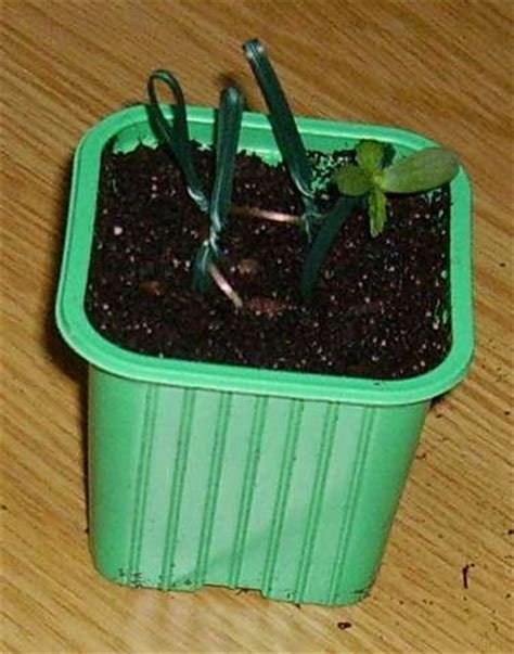 téléchargement (17).jpg