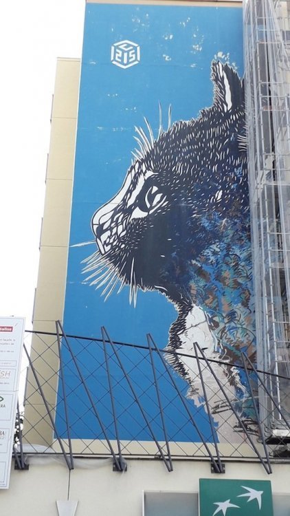 20190615_105427.jpg
