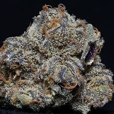 Grandaddy Purple