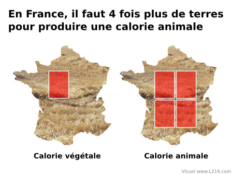 4-fois-plus-de-terre-pour-l-origine-animale-480x360.png.f1ddc1fadb033f29d9df61ec915e6216.png