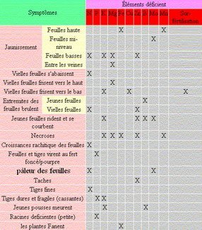80a039.jpg