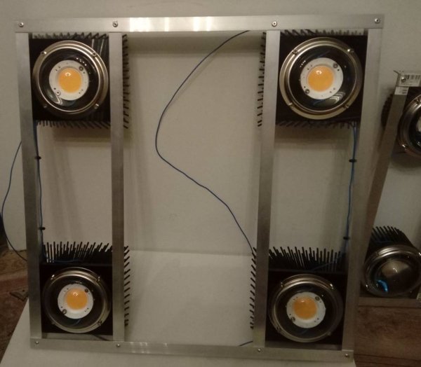 vero29 photo.jpg