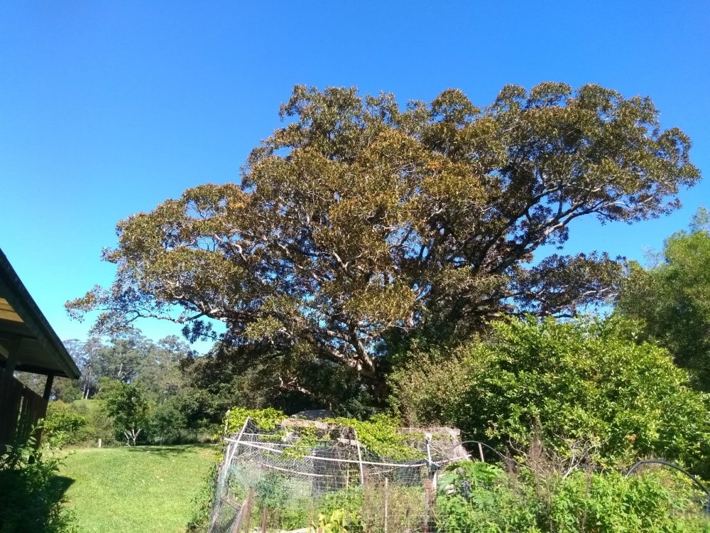 IMG_20190508_094659.jpg