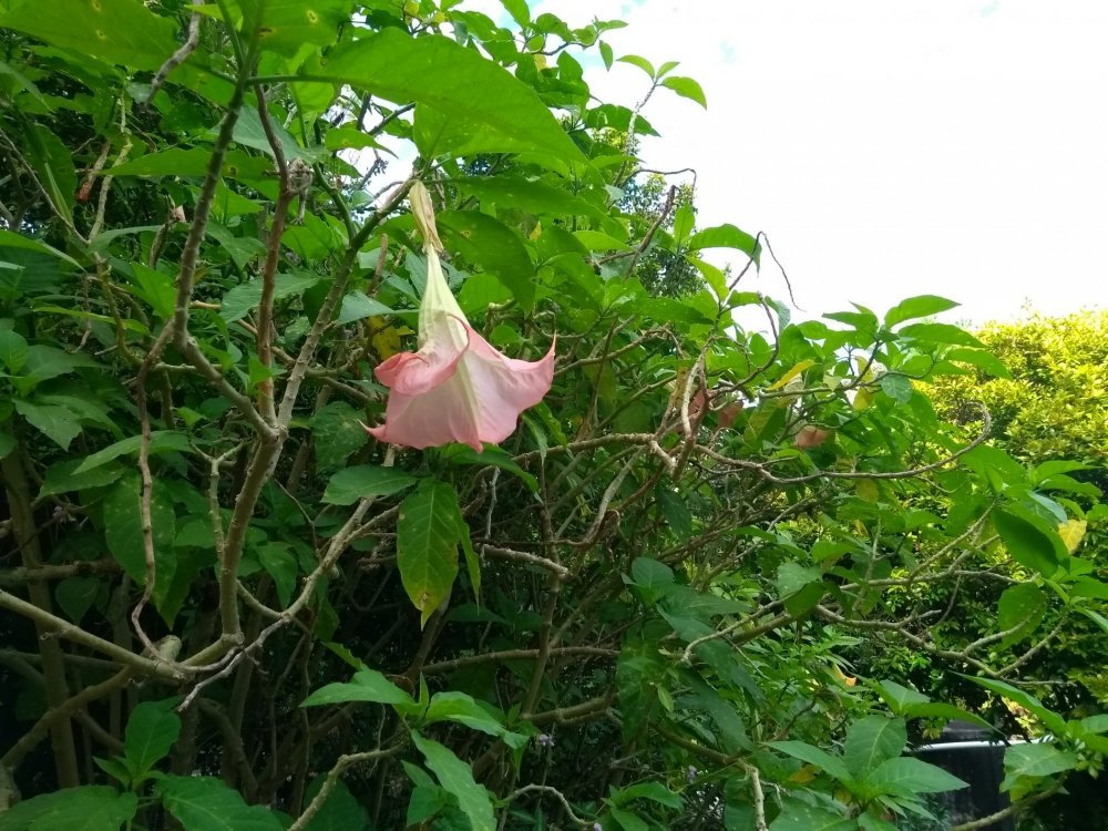 IMG_20190510_091202.jpg