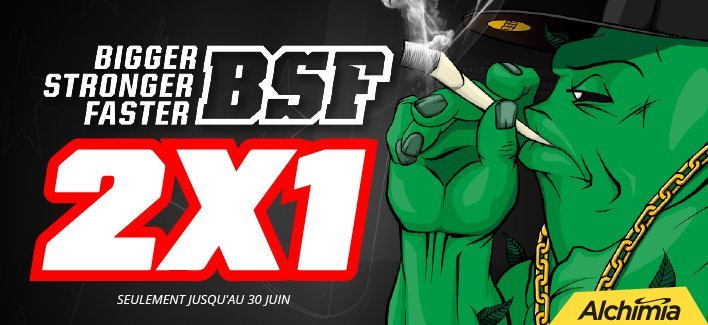 bsf-2x1-1054.jpg
