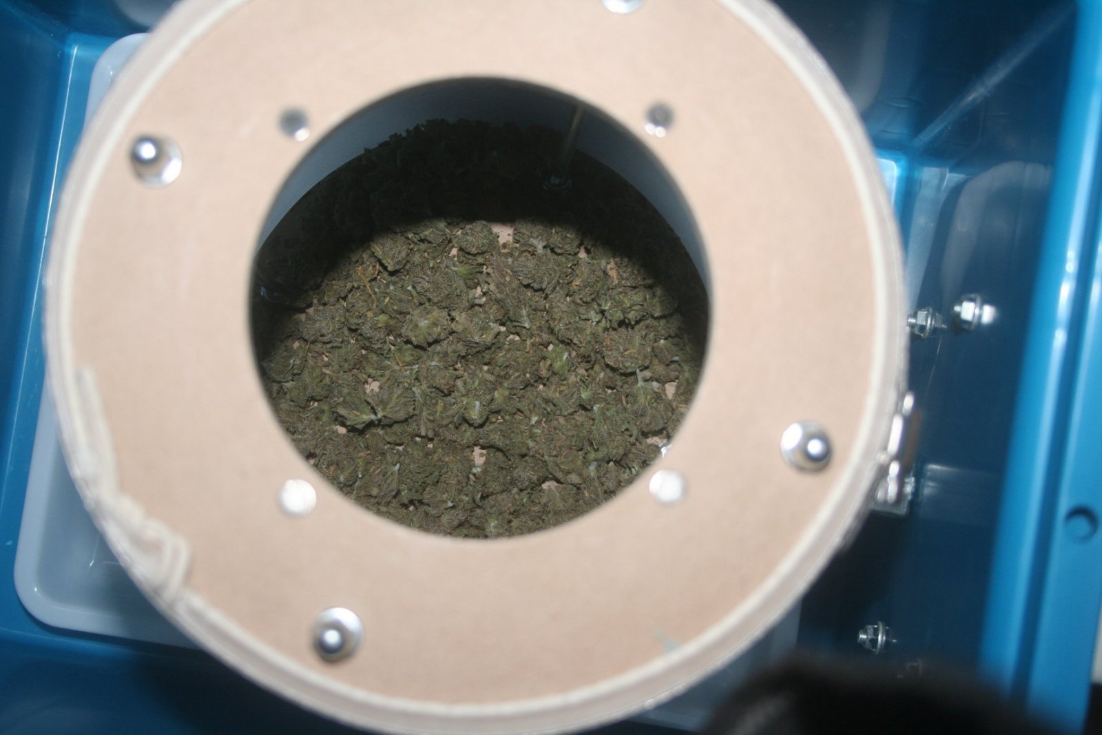 Teste Pollinator
