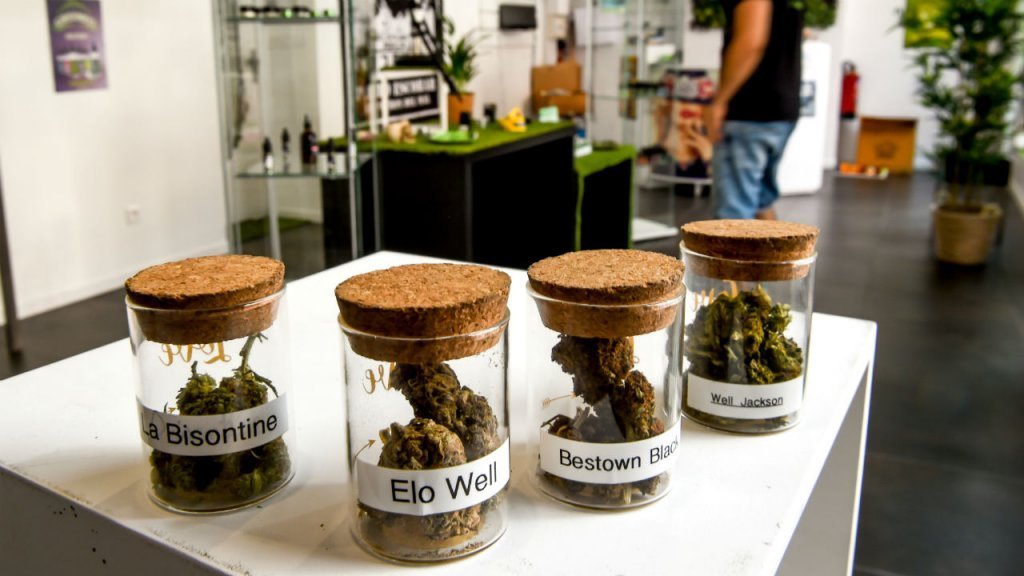 Le cannabis thérapeutique sera expérimenté en France "dans les prochaines semaines"