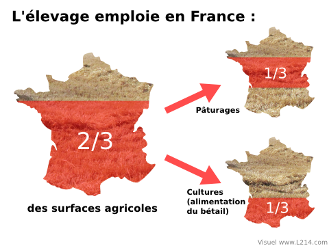 ressources-agricoles-France-480x360.png.0198f396da987bbbc84b80e9755f08f9.png