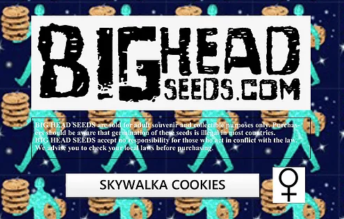Skywalka Cookies