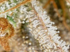 190601_211638_cleaned.jpg