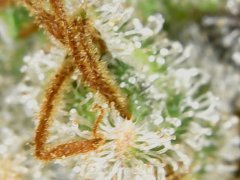 190601_211654_cleaned.jpg