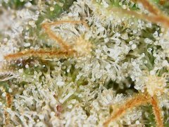190601_211733_cleaned.jpg