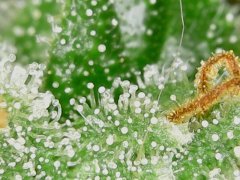 190610_181232_cleaned.jpg