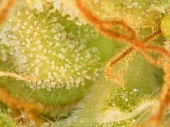 190610_181734_cleaned.jpg