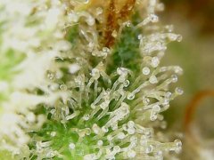 190610_181850_cleaned.jpg
