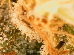 190610_182027_cleaned.jpg