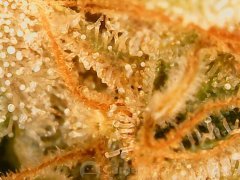 190615_202746_cleaned.jpg