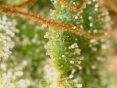 190622_181600_cleaned.jpg