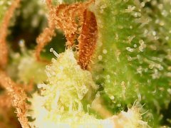 190622_181613_cleaned.jpg