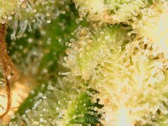 190622_181701_cleaned.jpg